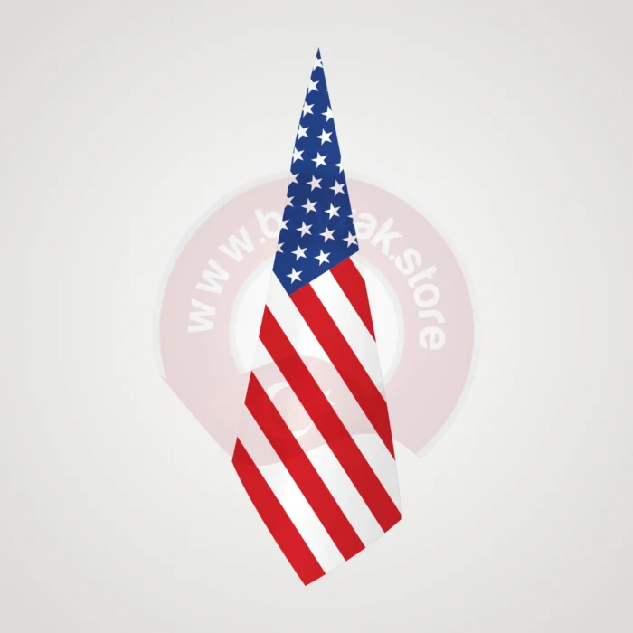 Amerika Makam Bayrağı - Görsel 1