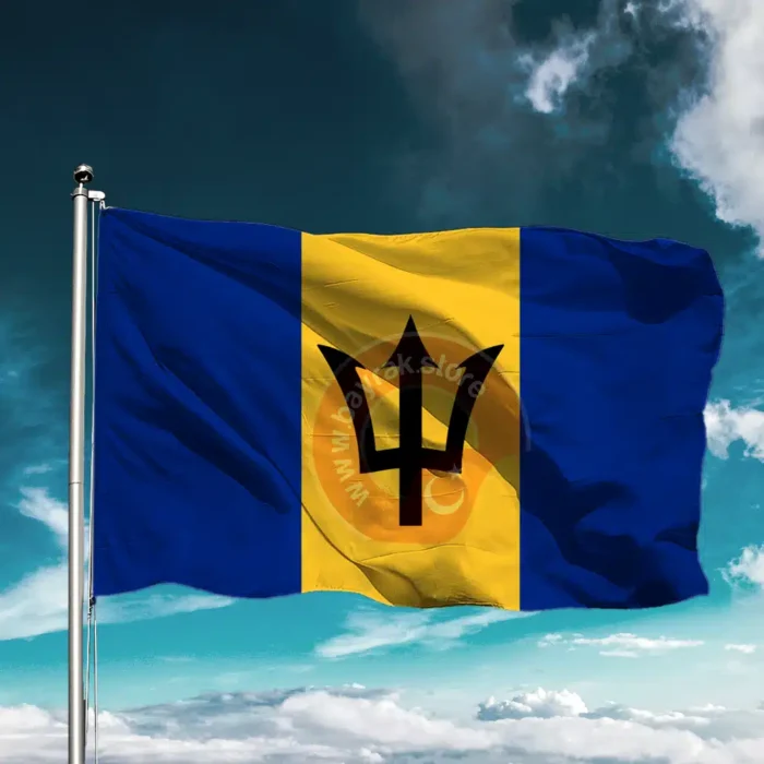 Barbados Bayrağı - Görsel 1