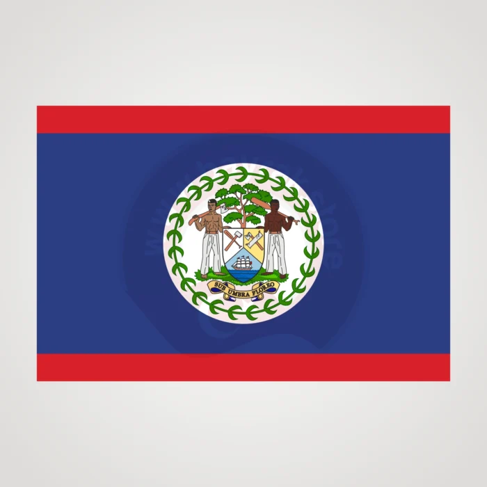 Belize Makam Bayrağı - Görsel 2