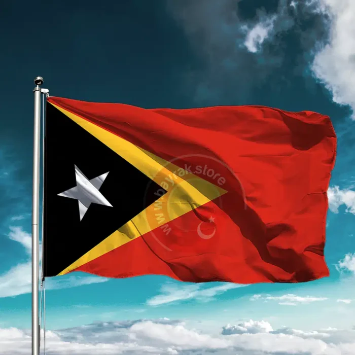Doğu Timor Bayrağı - Görsel 1
