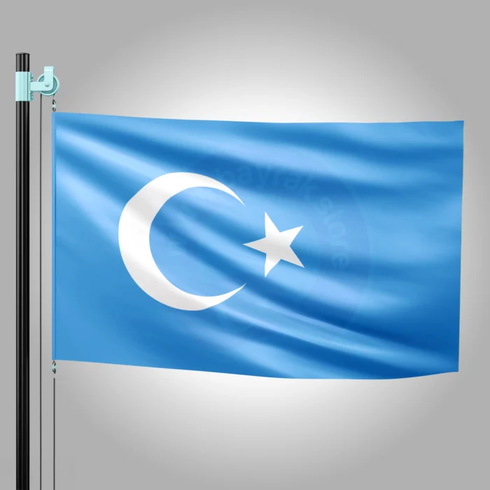 Doğu Türkistan Bayrağı - Görsel 1