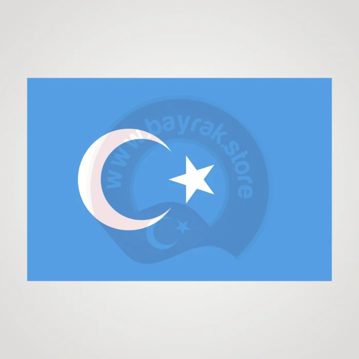 Doğu Türkistan Makam Bayrağı - Görsel 2