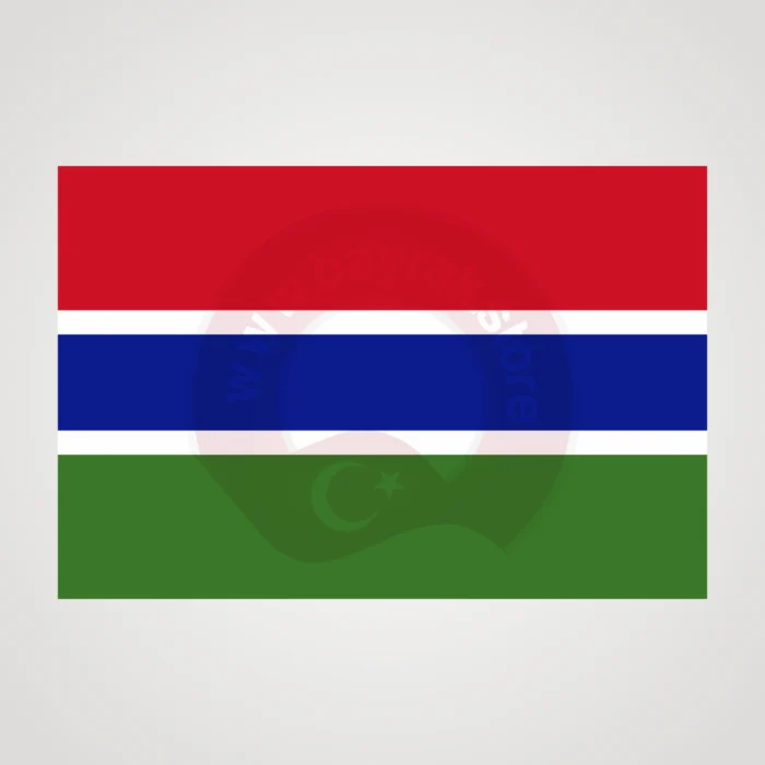 Gambiya Makam Bayrağı - Görsel 2