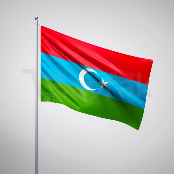 Güney Türkistan Bayrağı - Görsel 1