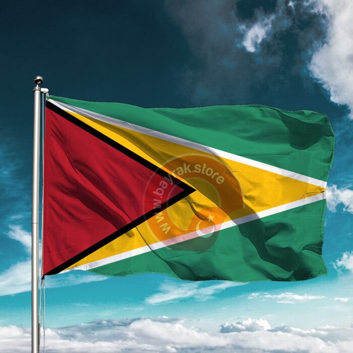Guyana Bayrağı - Görsel 1