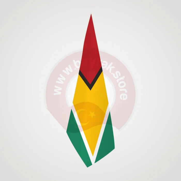Guyana Makam Bayrağı - Görsel 1