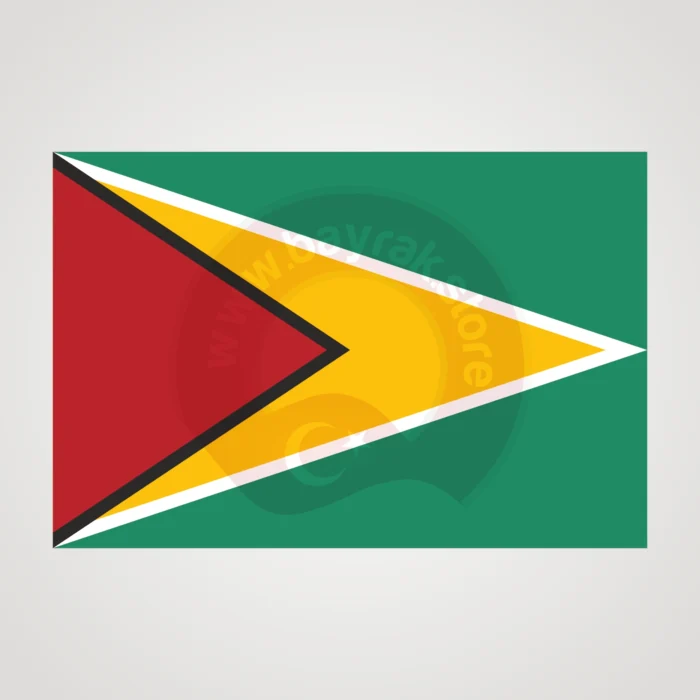 Guyana Makam Bayrağı - Görsel 2