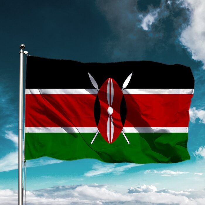 Kenya Bayrağı - Görsel 1