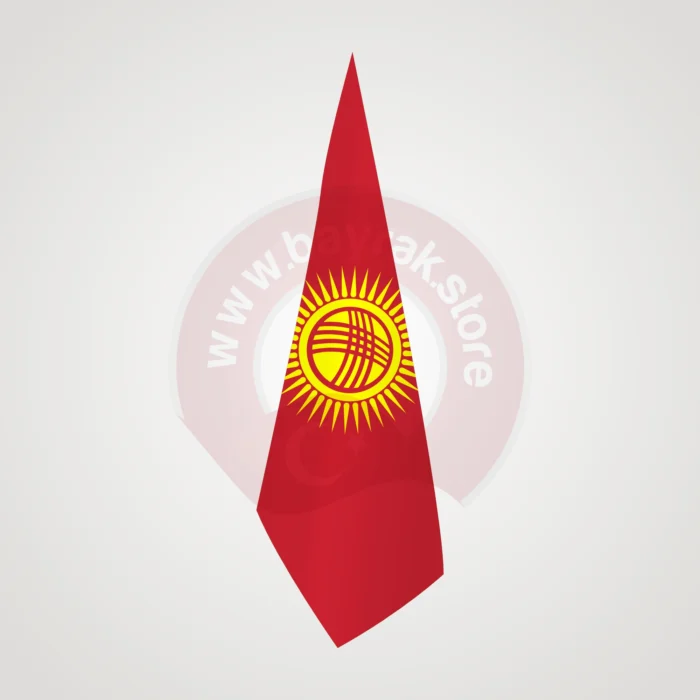 Kırgızistan Makam Bayrağı - Görsel 1