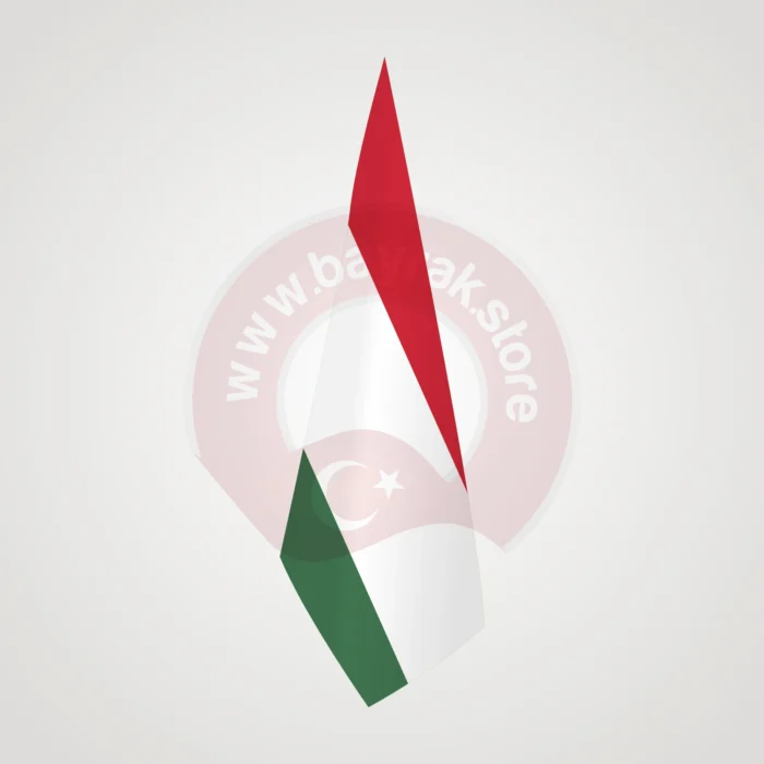 Macaristan Makam Bayrağı - Görsel 1