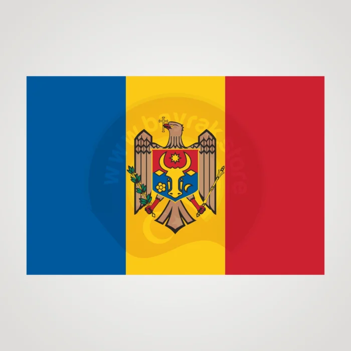 Moldova Makam Bayrağı - Görsel 2