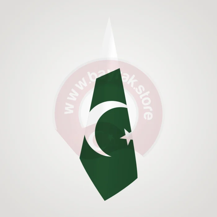 Pakistan Makam Bayrağı - Görsel 1