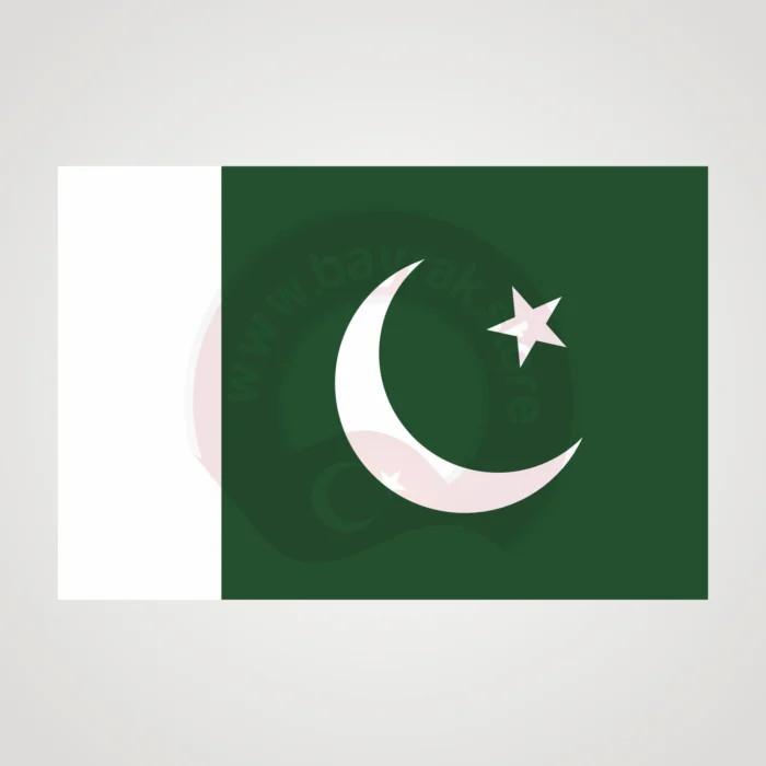 Pakistan Makam Bayrağı - Görsel 2