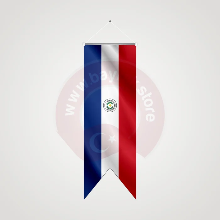 Paraguay Kırlangıç Bayrak - Görsel 1