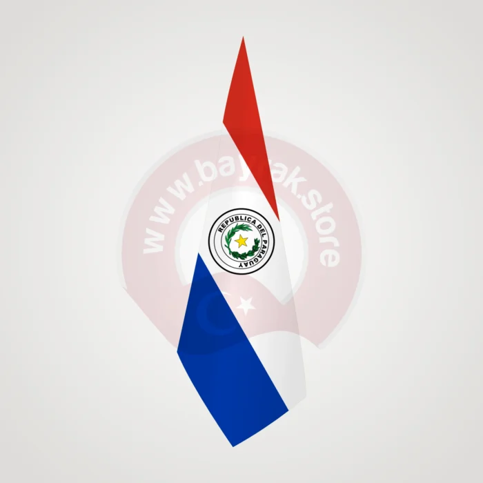 Paraguay Makam Bayrağı - Görsel 1
