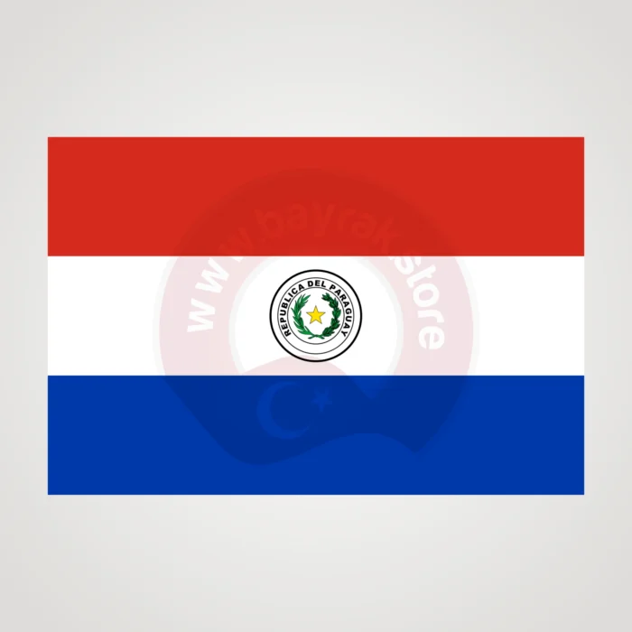 Paraguay Makam Bayrağı - Görsel 2