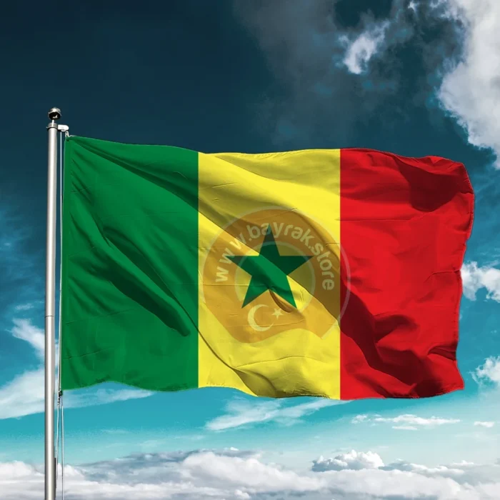 Senegal Bayrağı - Görsel 1