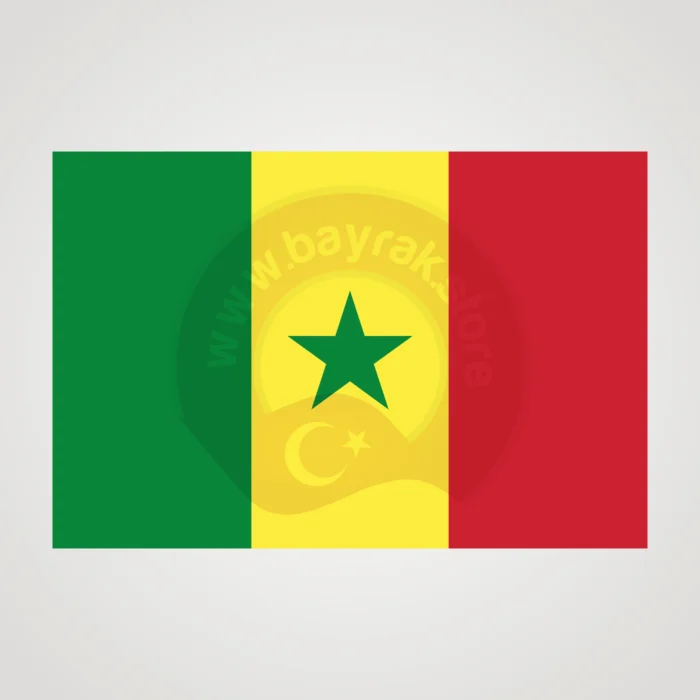 Senegal Makam Bayrağı - Görsel 2