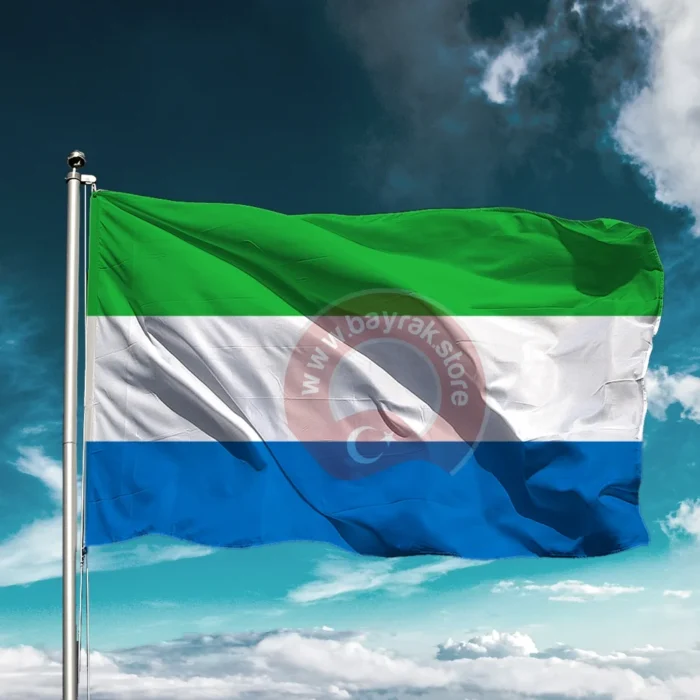 Sierra Leone Bayrağı - Görsel 1