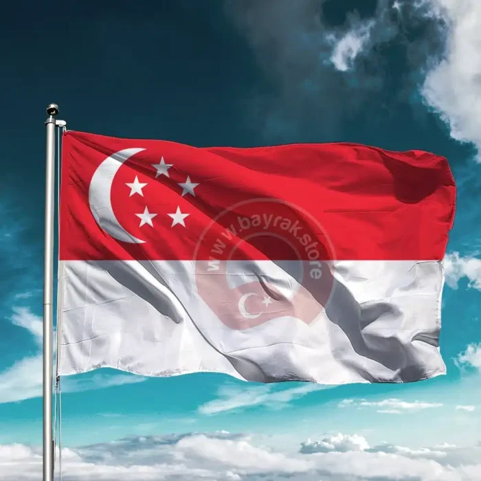Singapur Bayrağı - Görsel 1