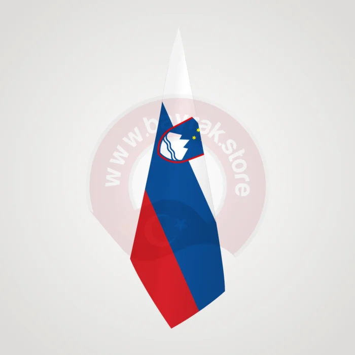 Slovenya Makam Bayrağı - Görsel 1