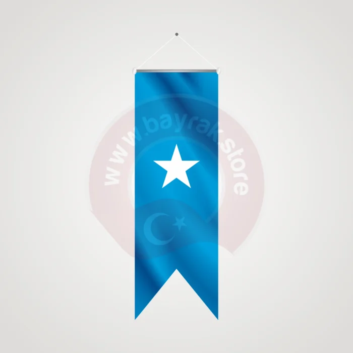 Somali Kırlangıç Bayrak - Görsel 1