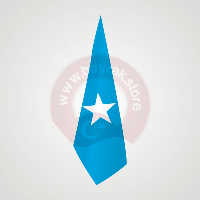 Somali Makam Bayrağı - Görsel 1