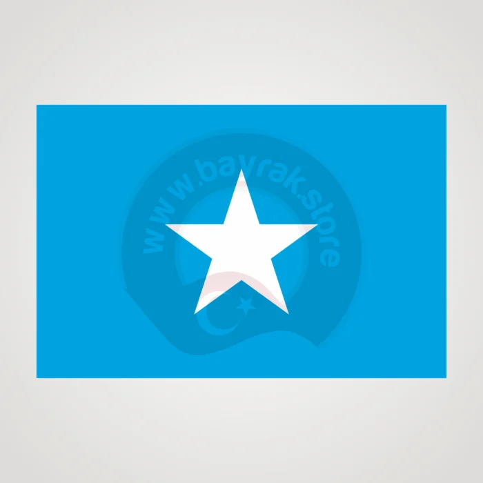 Somali Makam Bayrağı - Görsel 2