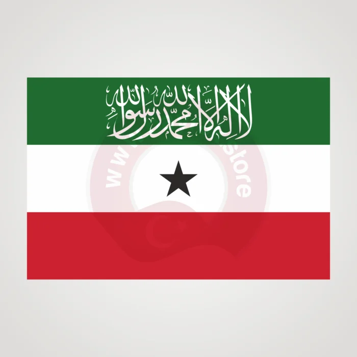 Somaliland Makam Bayrağı - Görsel 2