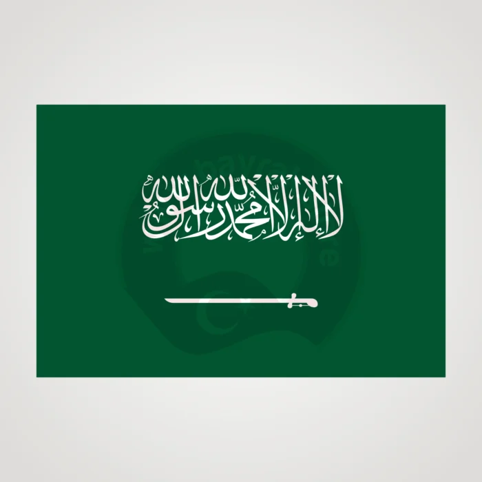Suudi Arabistan Makam Bayrağı - Görsel 2