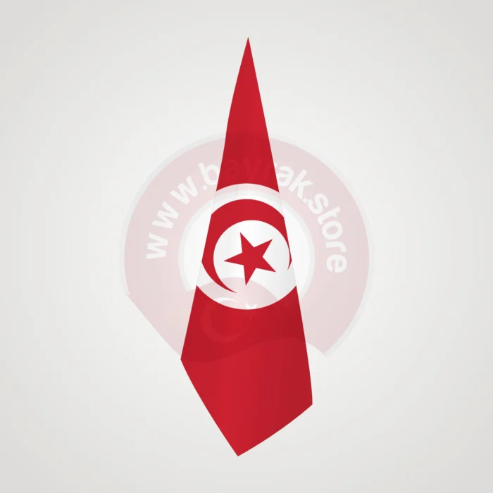 Tunus Makam Bayrağı - Görsel 1