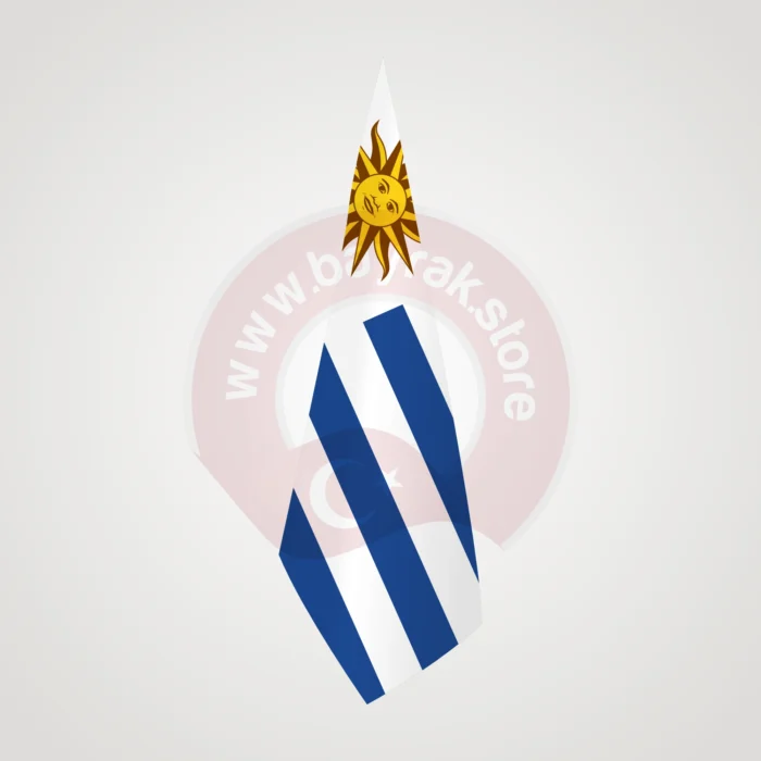 Uruguay Makam Bayrağı - Görsel 1