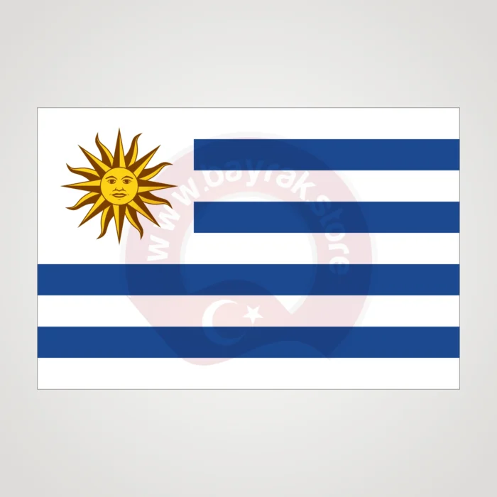 Uruguay Makam Bayrağı - Görsel 2