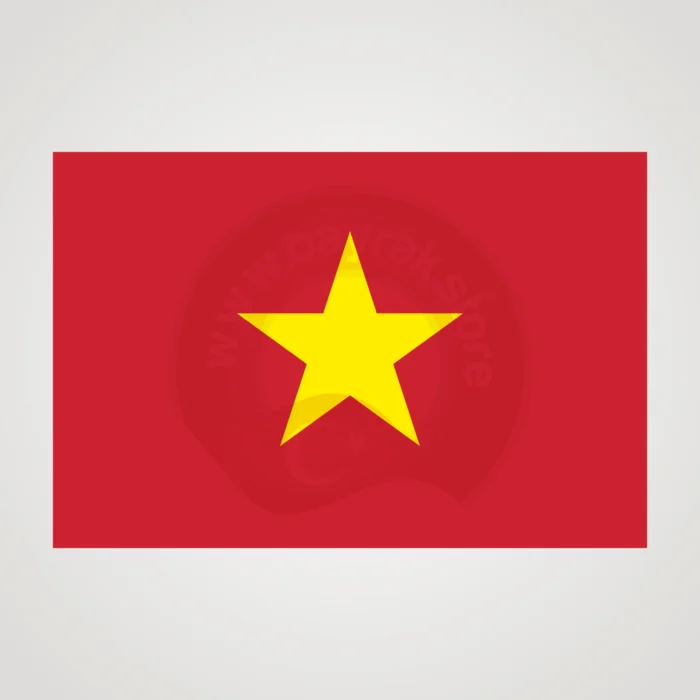 Vietnam Makam Bayrağı - Görsel 2