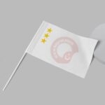 27'li Türk Devletleri Seti 30x45 - Sopalı - Görsel 2