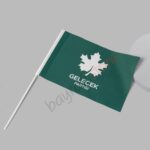 Gelecek Partisi Yeşil Zeminli 50×75 cm Raşel Sopalı Bayrak - Görsel 2